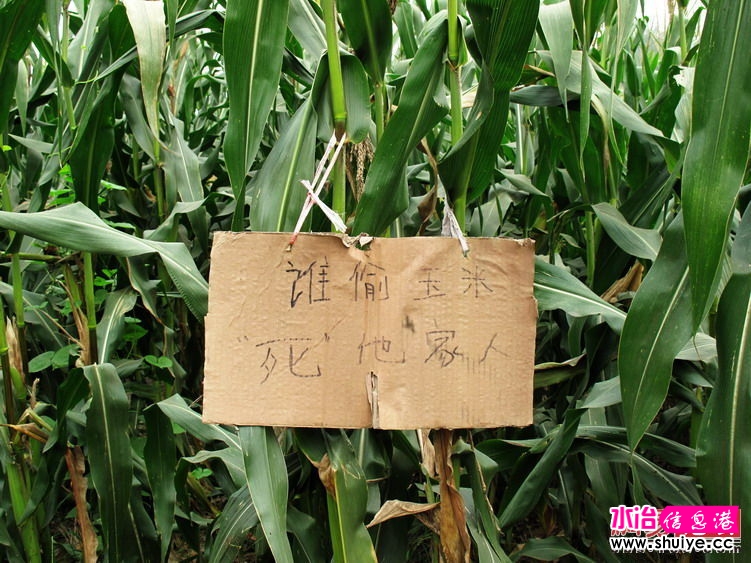 ˮұ��ţ��ʾ��