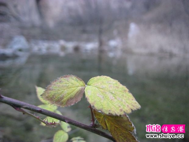 nEO_IMG_IMG_0190.jpg