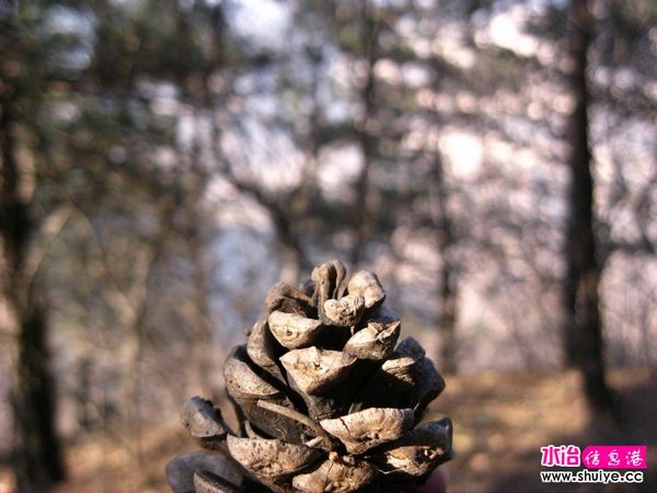 nEO_IMG_IMG_0023.jpg