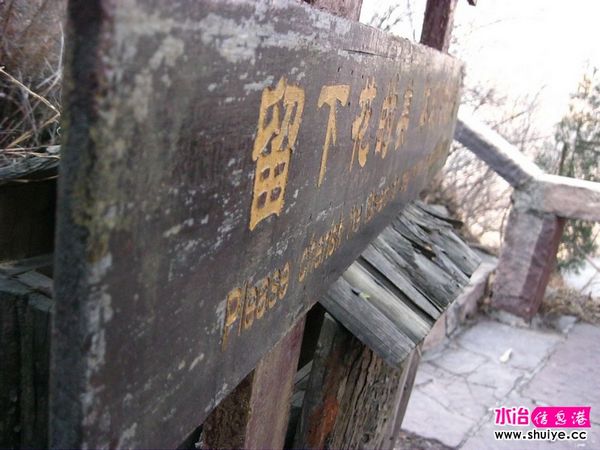 nEO_IMG_IMG_0135.jpg