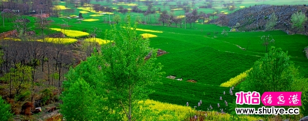 nEO_IMG_DSC_08 00.jpg