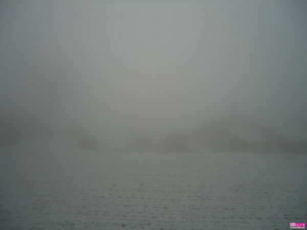DSC00736.JPG