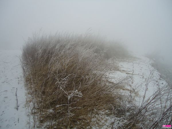 DSC00739.JPG