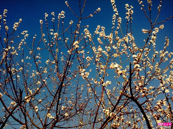 20110326721.jpg