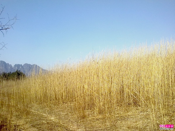 20110326676.jpg