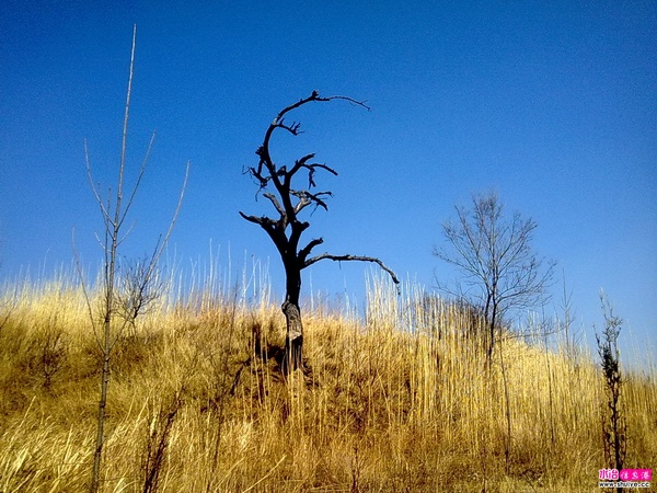 20110326682.jpg