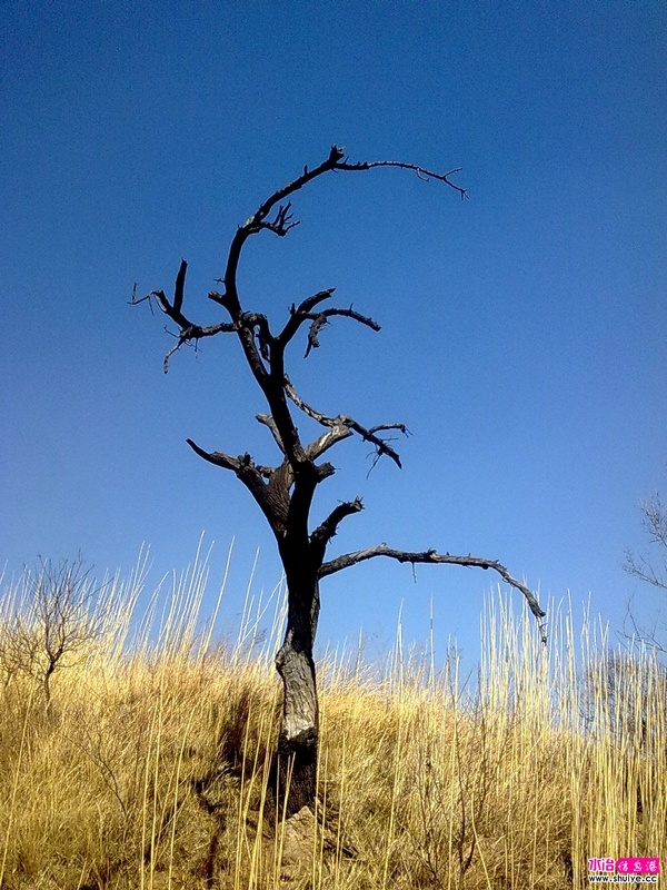 20110326683.jpg