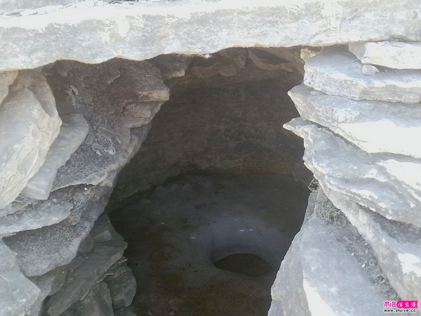 20110326696.jpg