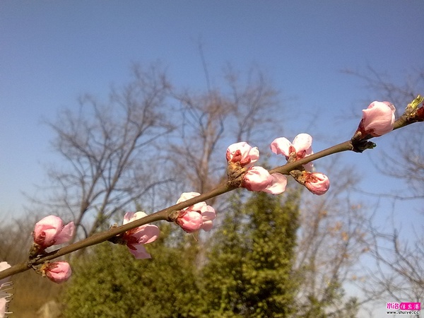 20110326717.jpg