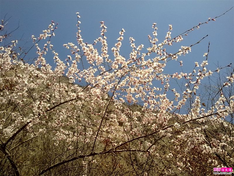 20110403777.jpg