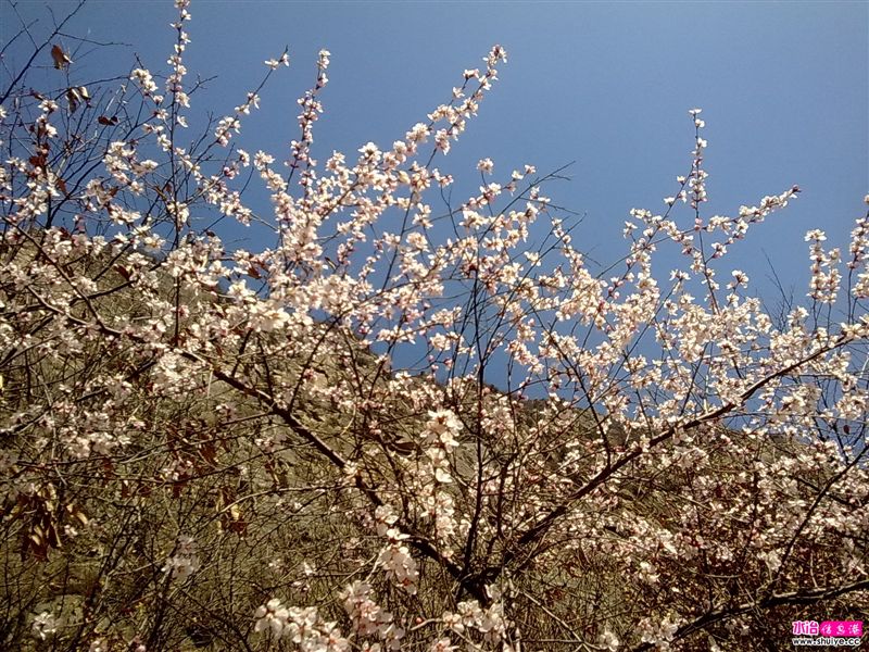 20110403778.jpg