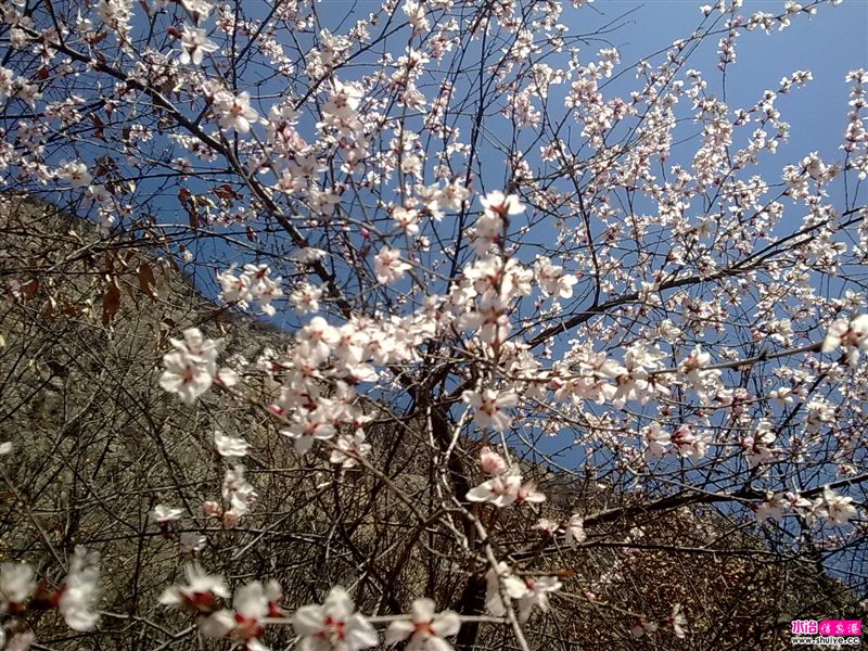 20110403779.jpg
