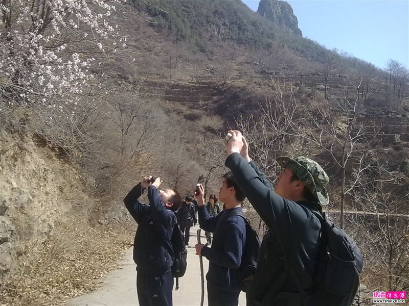 20110403780.jpg