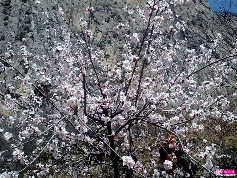 20110403797.jpg