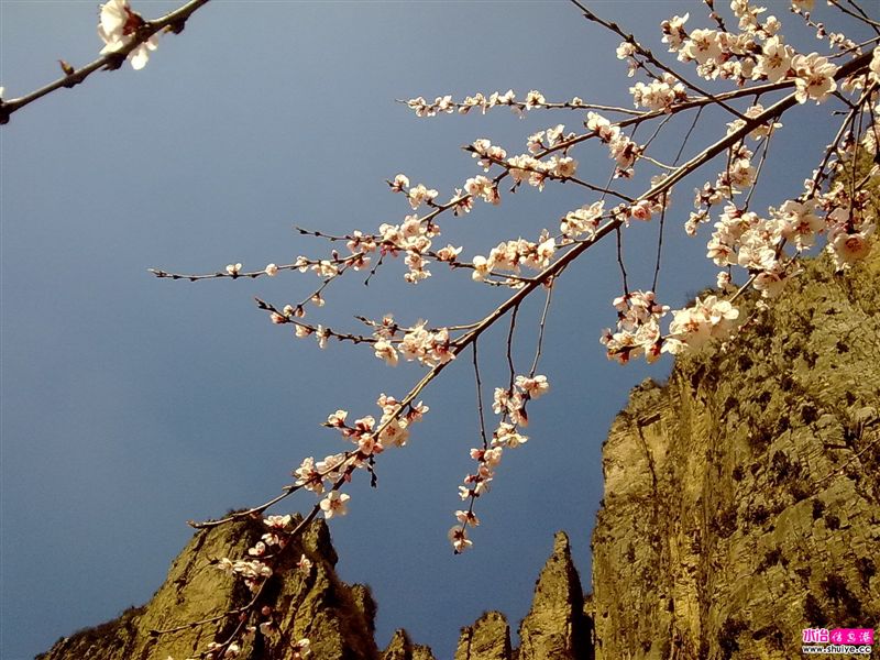20110403800.jpg