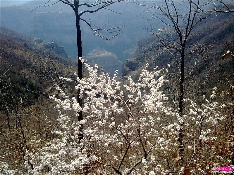 20110403803.jpg