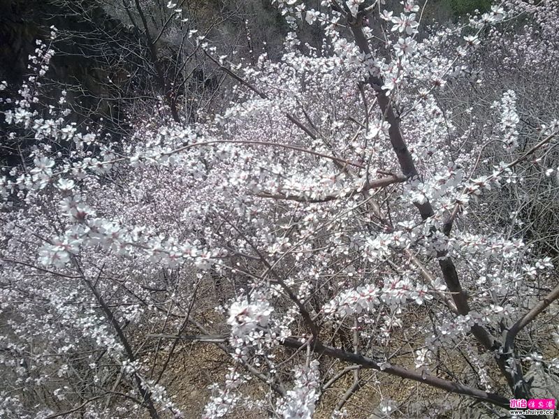 20110403807.jpg