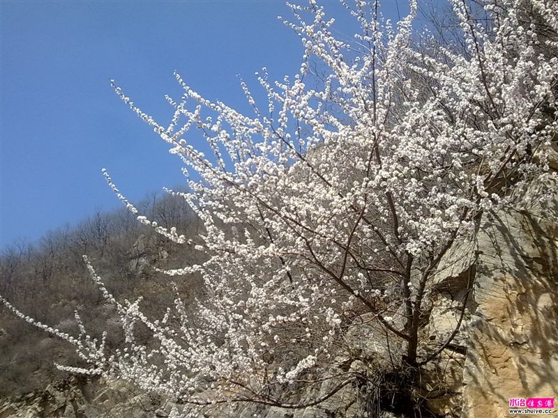 20110403810.jpg