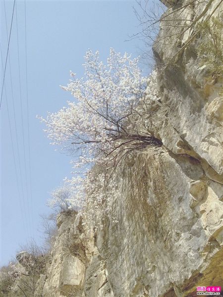 20110403824.jpg