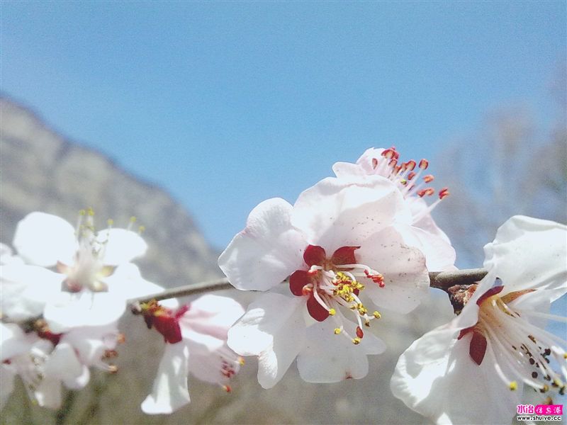 20110403843.jpg
