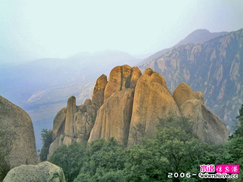Ƭ 005.jpg