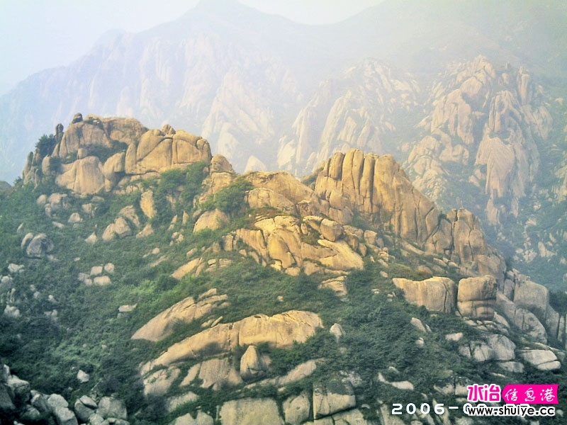 Ƭ 015.jpg