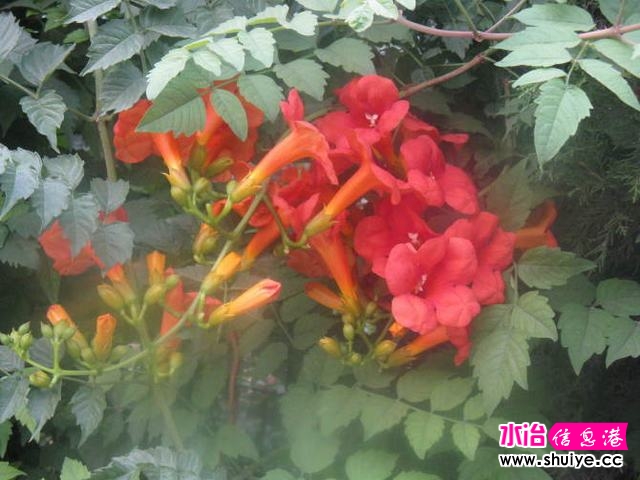   ;Уһܵǽͷŭһ겻֪Ȼ