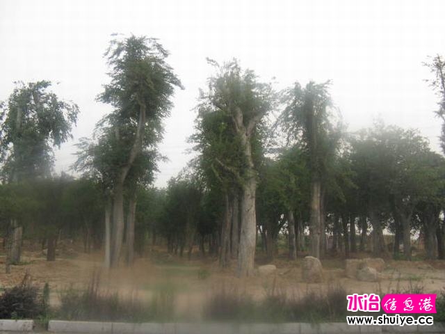  ;УһУһաһżİЭˡĺܶء