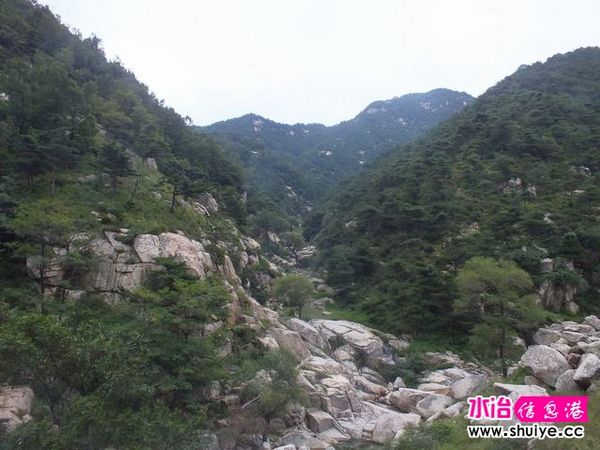 DSCF0052.JPG