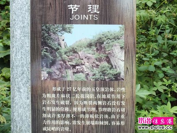 DSCF0108.JPG