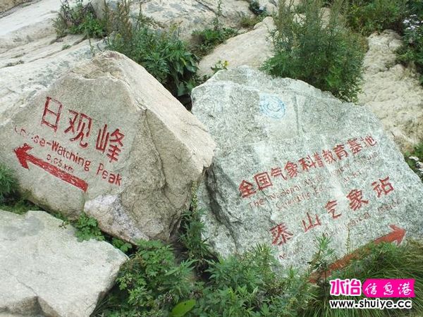 DSCF0237.JPG