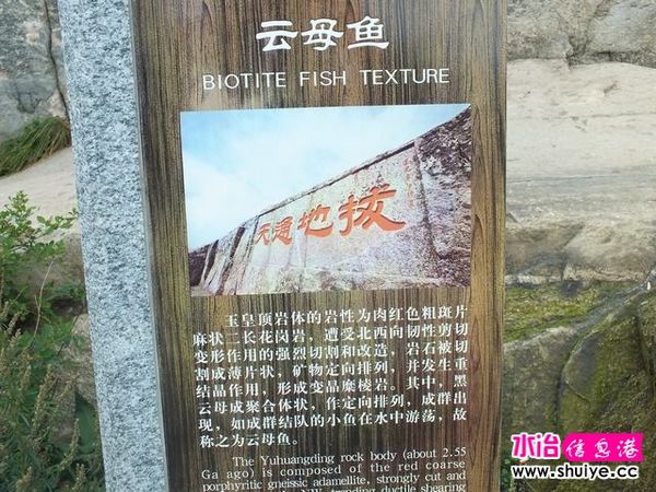 DSCF0248.JPG