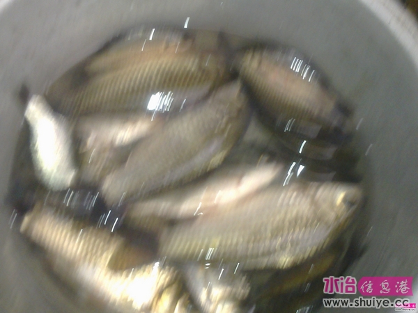 Ƭ 015.jpg