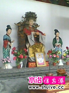 IMG0381A.JPG