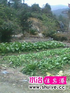 IMG0374A.JPG