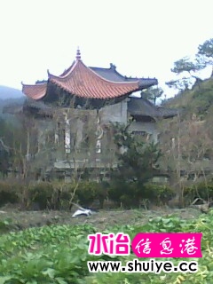 IMG0375A.JPG