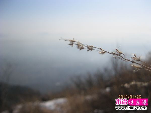 2220120126.jpg