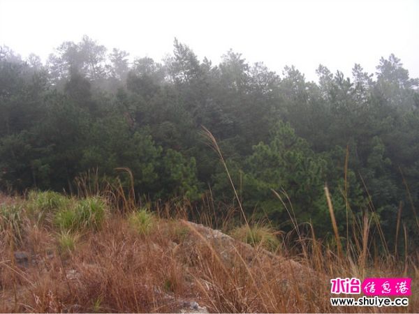 ����ɽ��