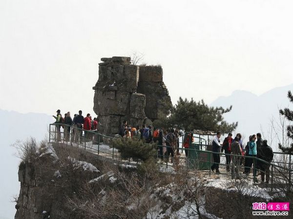 IMG_7200.JPG