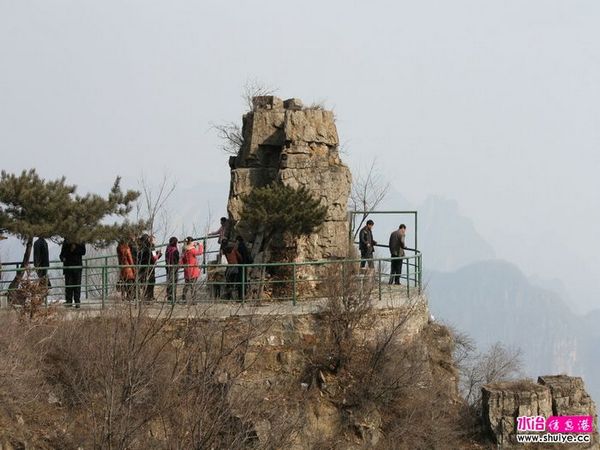 IMG_7208.JPG