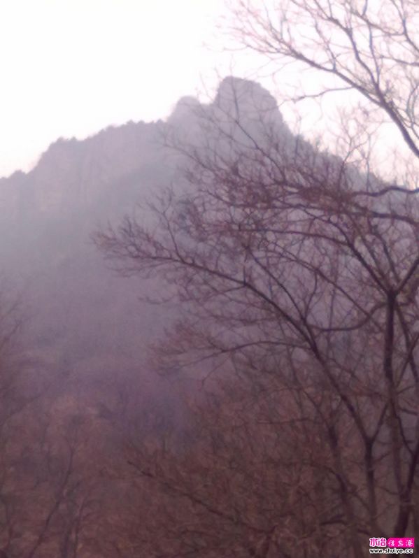 20120402116.jpg