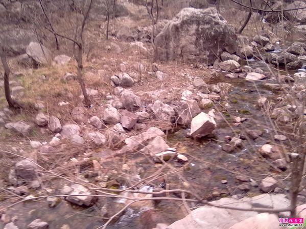 20120402118.jpg