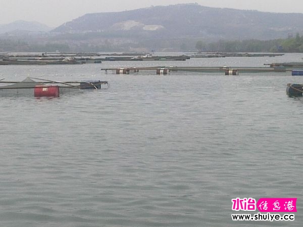 ���� 012.jpg