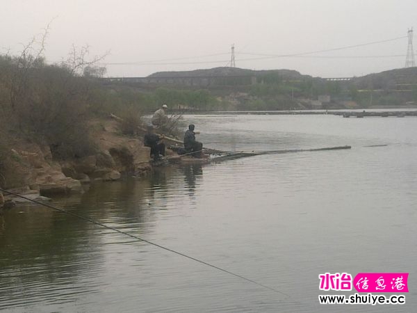 ���� 013.jpg