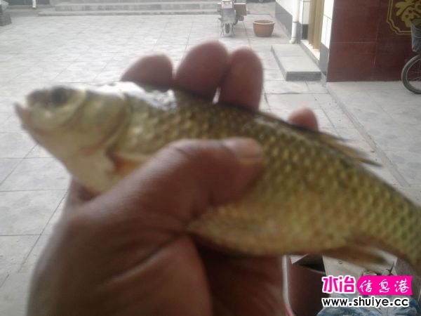 ���� 014.jpg