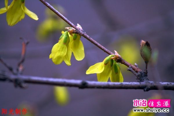 IMG_7423.jpg