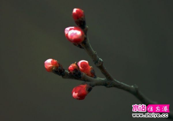 IMG_7426.jpg