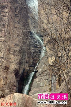 IMG_7431.jpg