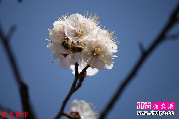 IMG_7470.jpg