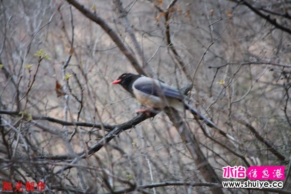 IMG_7556.jpg